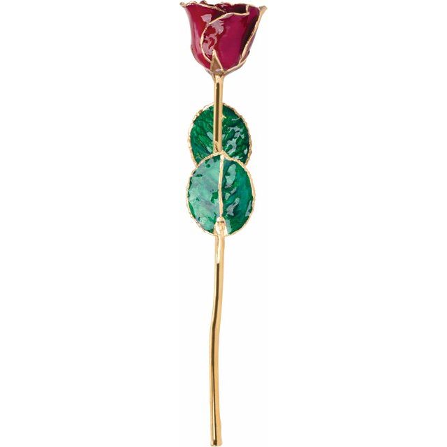 Garnet Colored Rose with Gold Trim