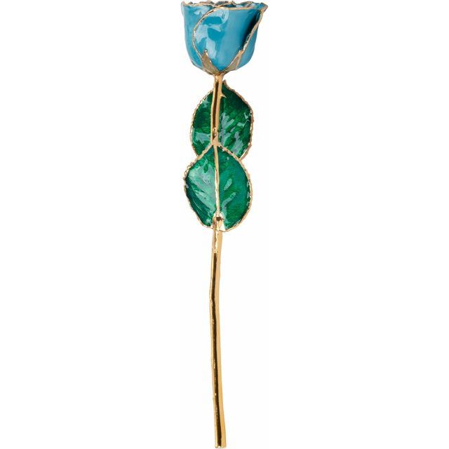 Aquamarine Colored Rose with Gold Trim