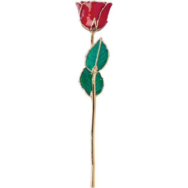 Red Ruby Colored Rose with Gold Trim