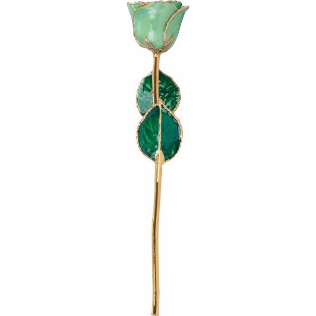 Peridot Colored Rose with Gold Trim