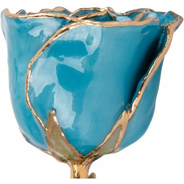 Aquamarine Colored Rose with Gold Trim