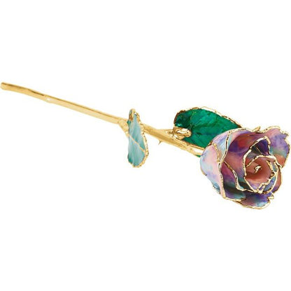 Opal Colored Rose with Gold Trim