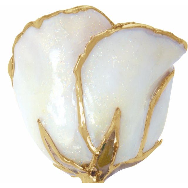 White Diamond Colored Rose with Gold Trim