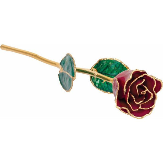 Garnet Colored Rose with Gold Trim