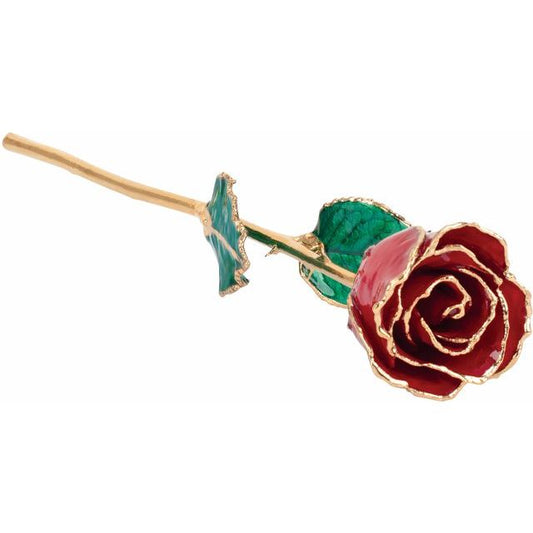 Red Ruby Colored Rose with Gold Trim