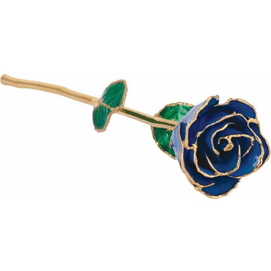 Blue Sapphire Colored Rose with Gold Trim