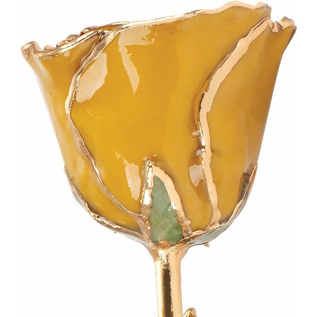 Yellow Topaz Colored Rose with Gold Trim