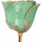 Peridot Colored Rose with Gold Trim