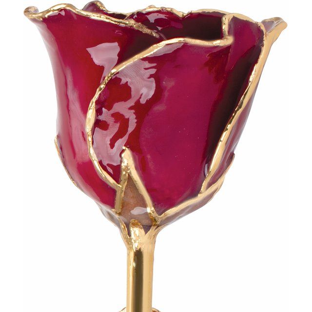 Garnet Colored Rose with Gold Trim